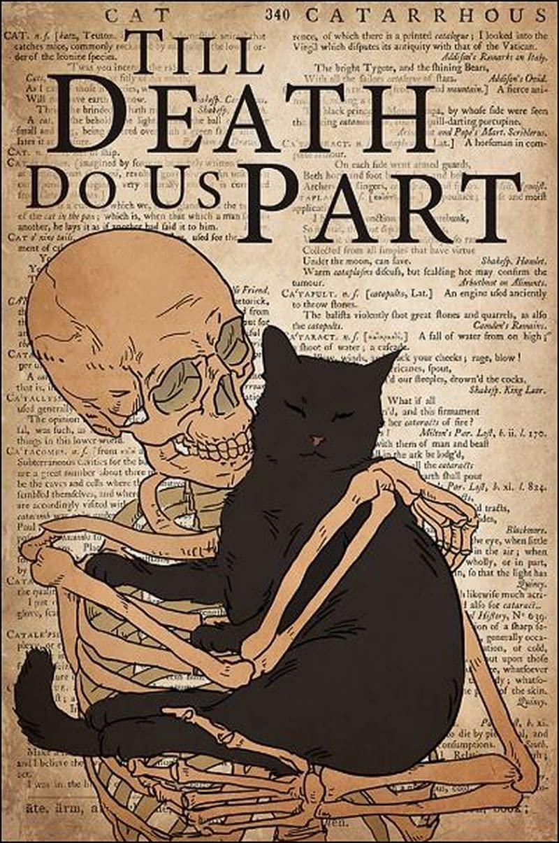 Amazon.com: Tin Sign Vintage Wall Poster Cat Tin Signs Skeleton