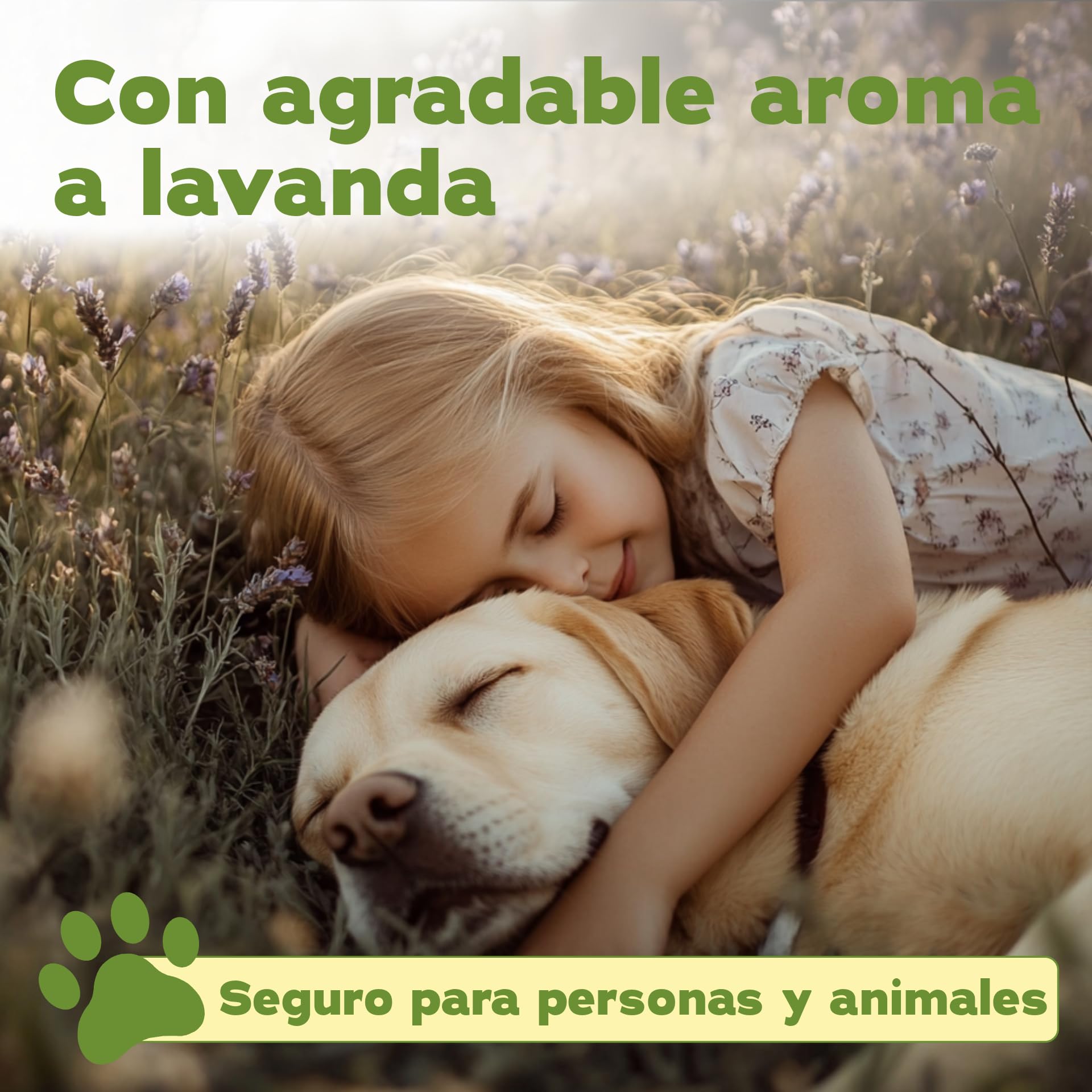 Bio-Chem - Limpiador enzimático concentrado 1L + botella mezcladora - Combate olores y manchas persistentes - Acción probiótica natural para alfombras, tejidos y superficies | Eliminador de olores contra orina, orina de gato y orina de perro para perros y