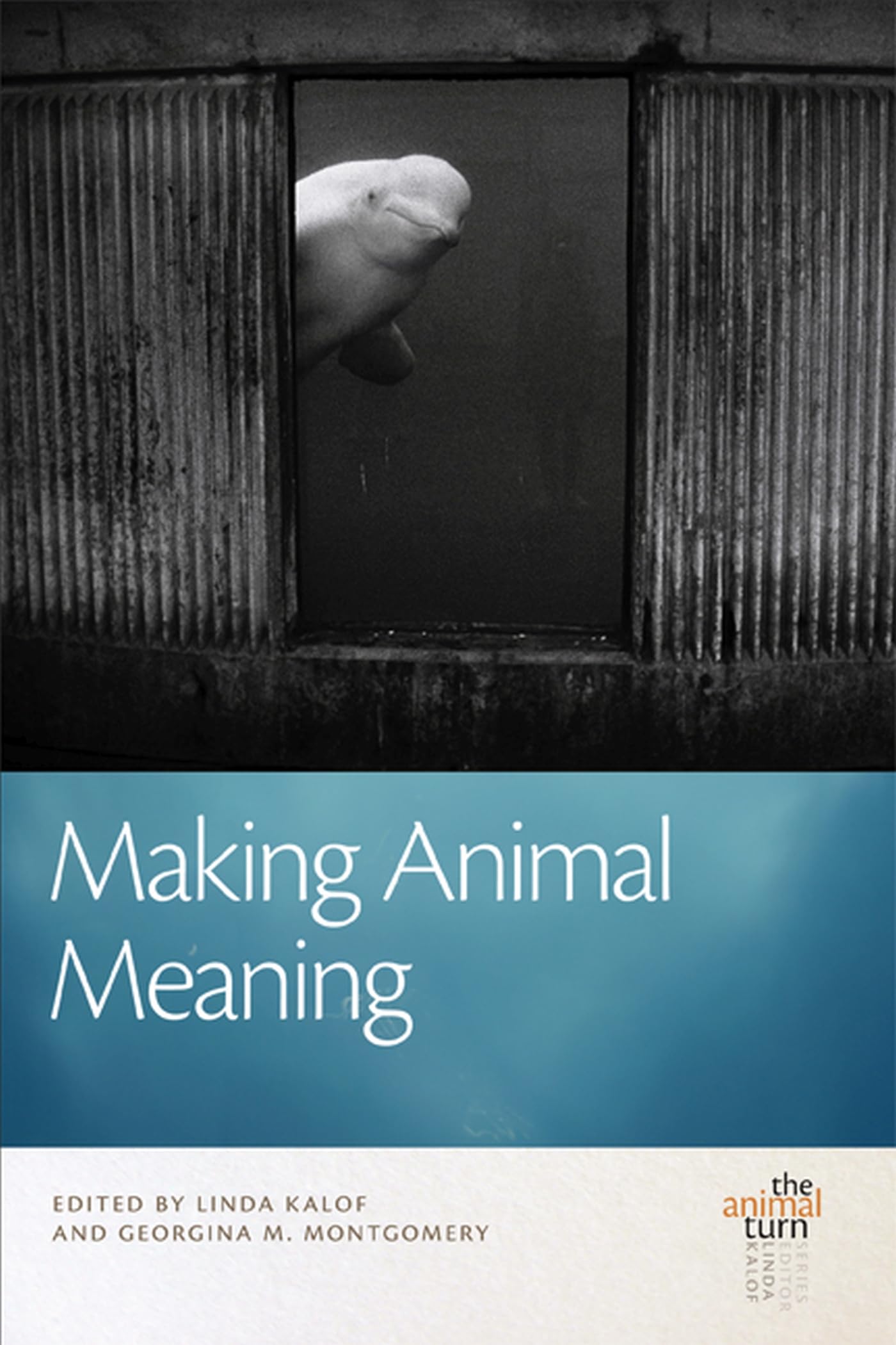 Buy Making Animal Meaning (Animal Turn) — BookShops.in