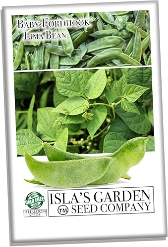 Semillas de frijol de Lima "Baby Fordhook" para plantar, más de 20 semillas de reliquia por paquete, semillas de jardín de (Isla's Garden), semillas