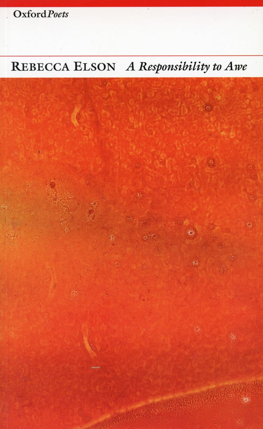 A Responsibility to Awe: Poems (Oxford Poets)