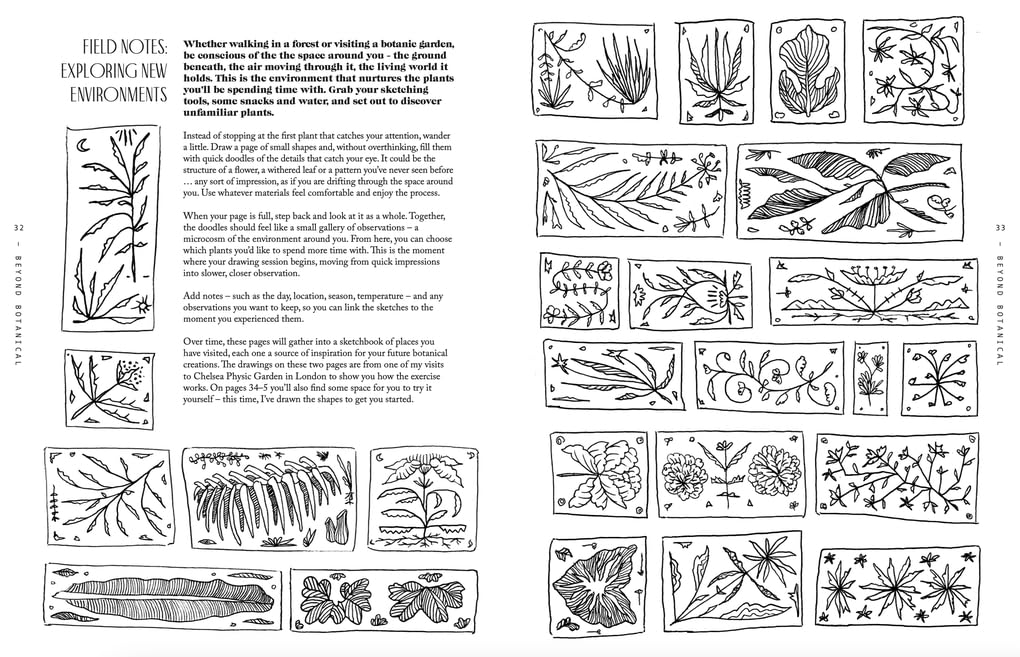 Beyond Botanical: A Guide to Drawing Plants in Nature
