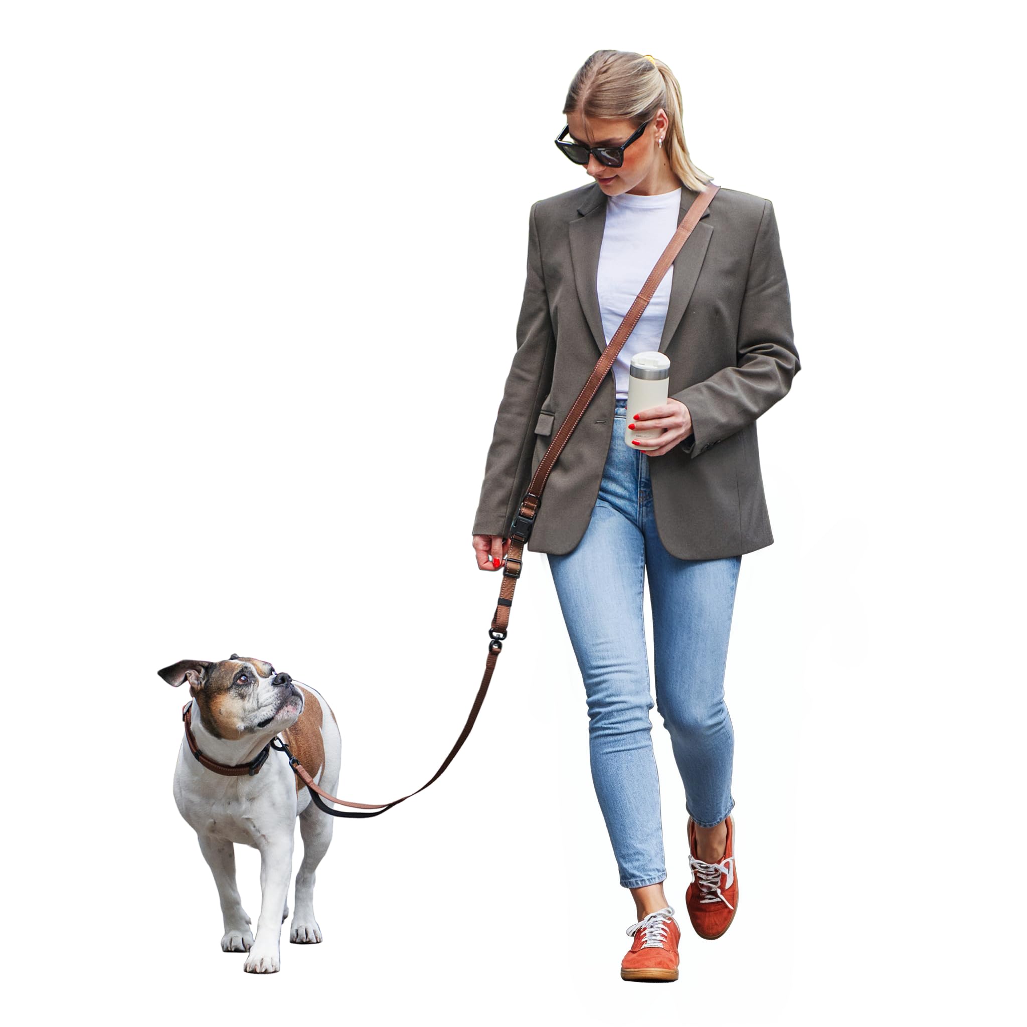 FREUDENTIER Umhängeleine Hund - Hundeleine 2,5m zum Umhängen, stufenlos verstellbar - Leine für kleine, mittelgroße & große Hunde (Braun, 2,5m)