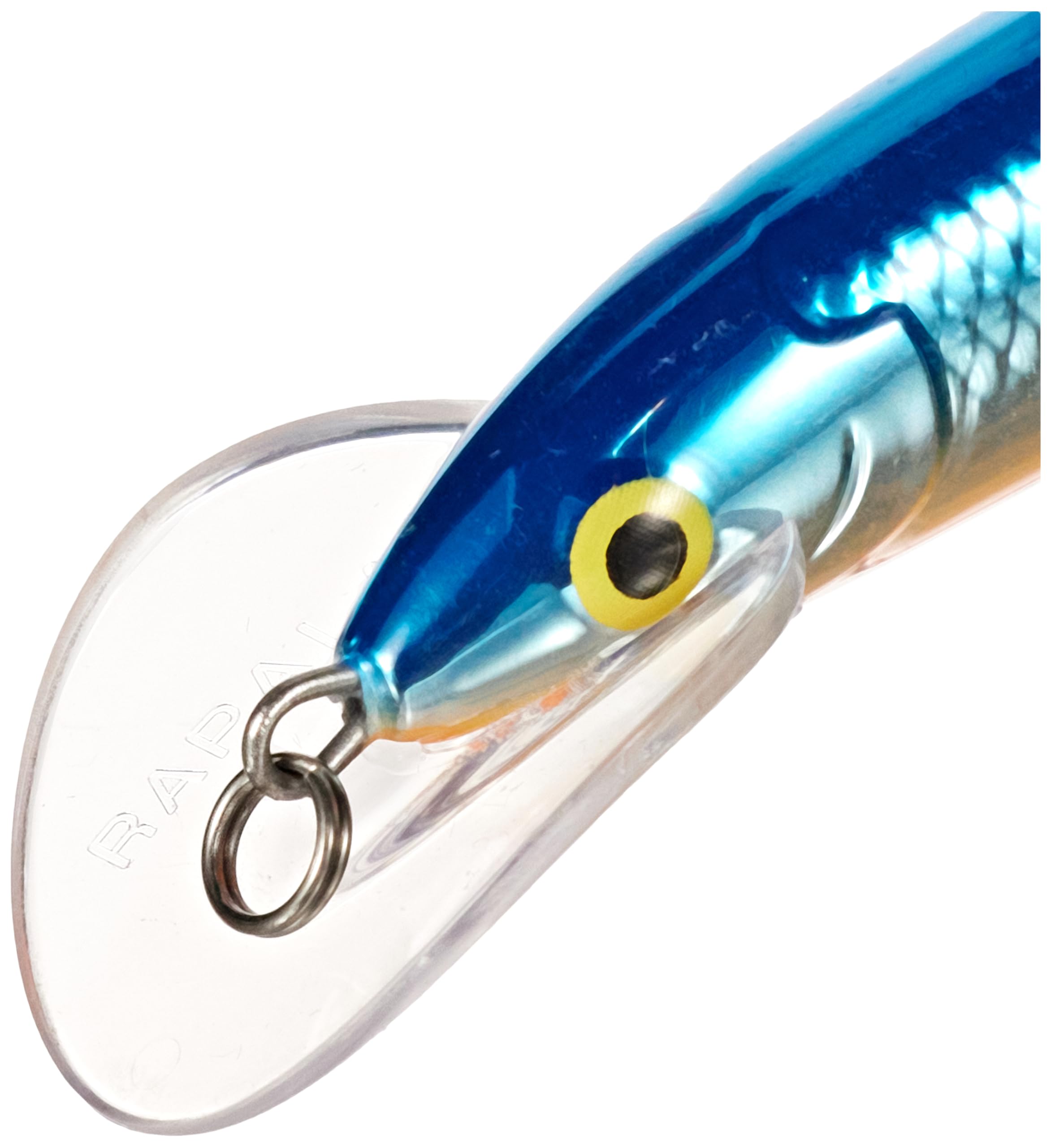 Amazon.com: Scatter Rap Deep Husky Jerk 10 Silver Blue : Sports