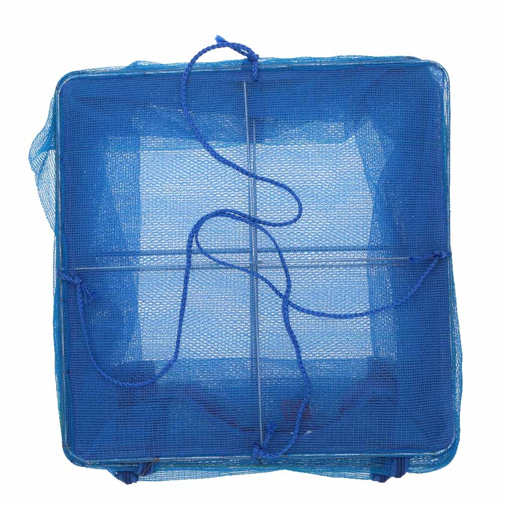 Anself Malla de secado plegable con 4 capas para vegetales, platos y pescado Azul