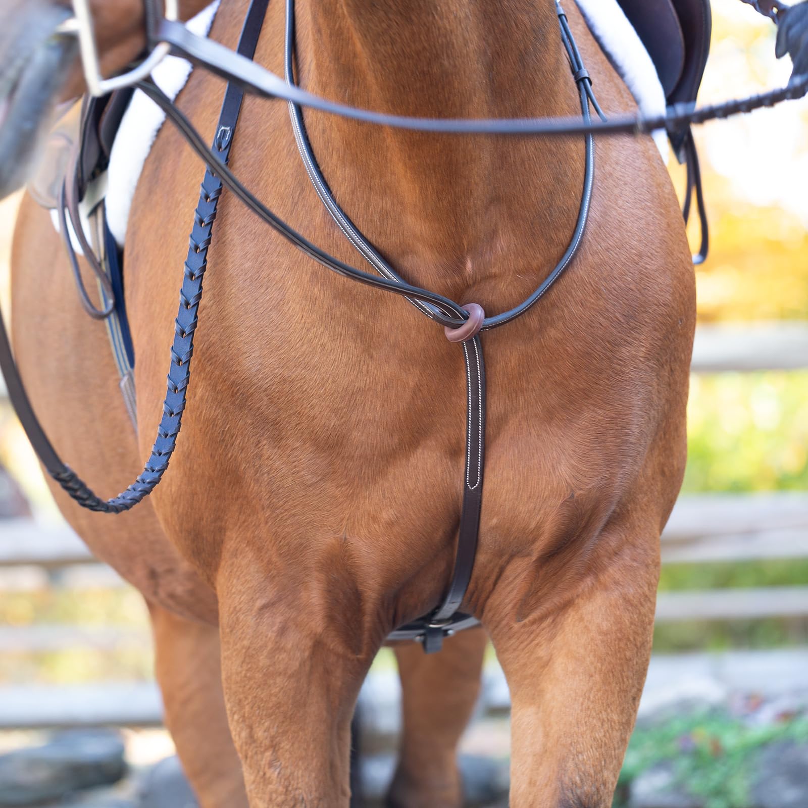 Equinavia Saga Martingala de pie ajustable de cuero con herrajes de acero inoxidable - marrón chocolate - caballo