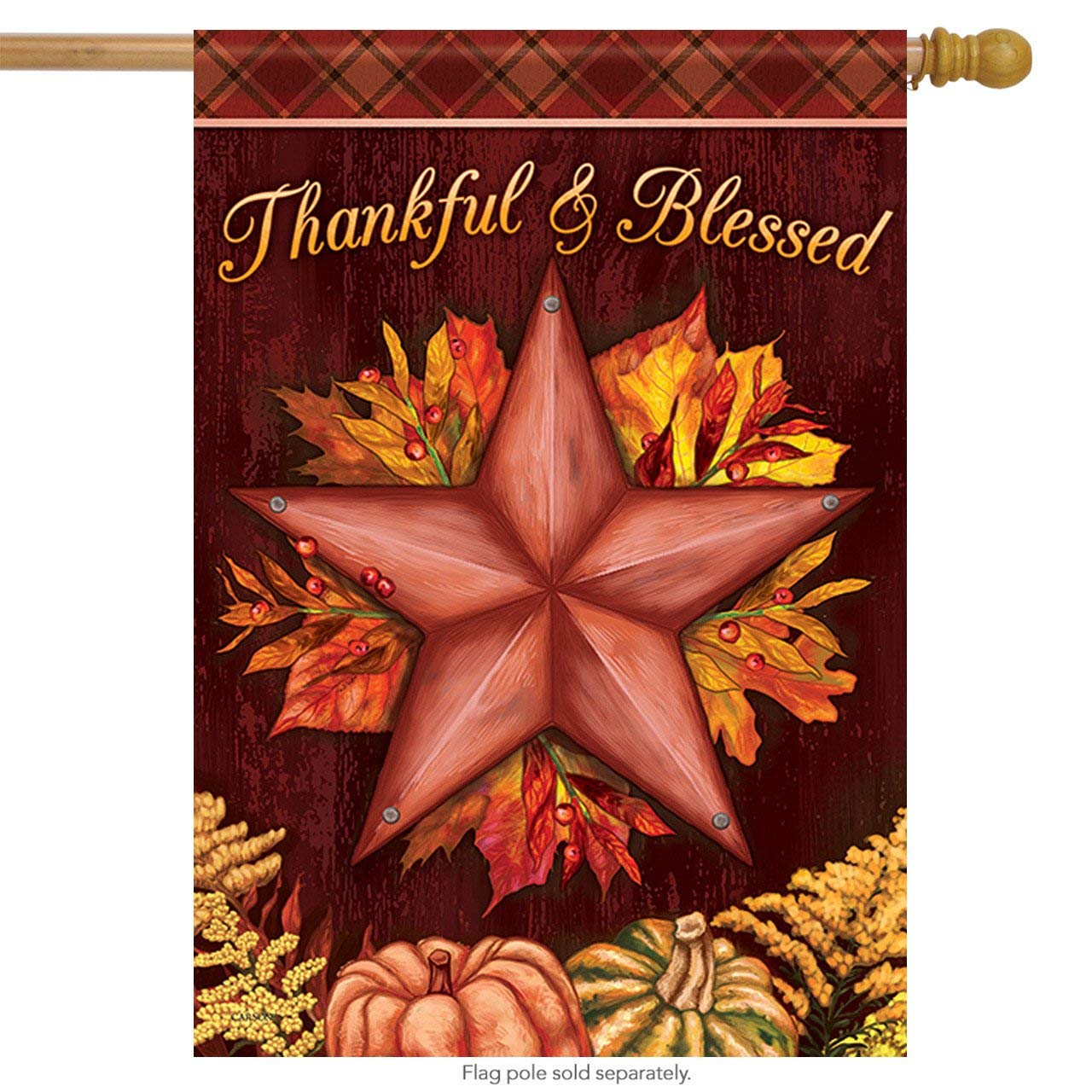 Carson Large Flag - Thanksgiving Star