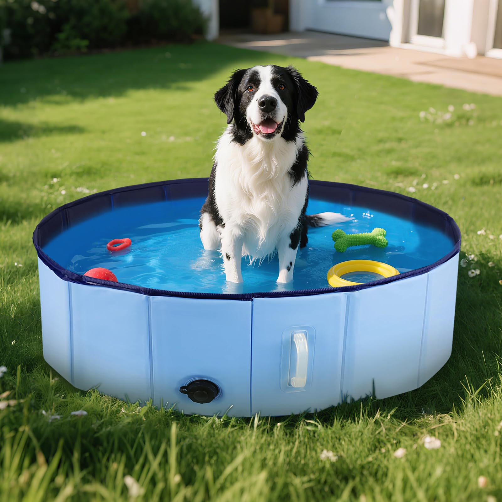 DEWEL Piscina per Cani,120x30cm Piscina per Cani Pieghevole, Vasca da Bagno per Cani con valvola di scarico dell'acqua,Bagno per Cani, Per Animali Domestici,Blu