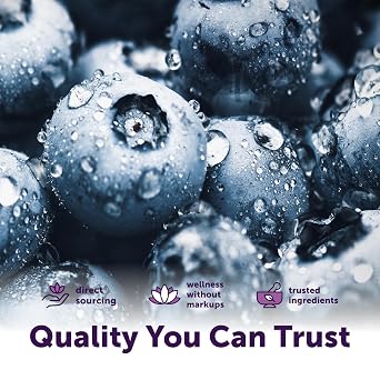 Micro Ingredients Organic Blueberry Extract Powder, 10oz | Natural Fruit Flavor | Freeze-Dried Wild Blueberries Source | No Sugar & Additives | Great for Drinks, Smoothie, Beverages | Non-GMO & Vegan