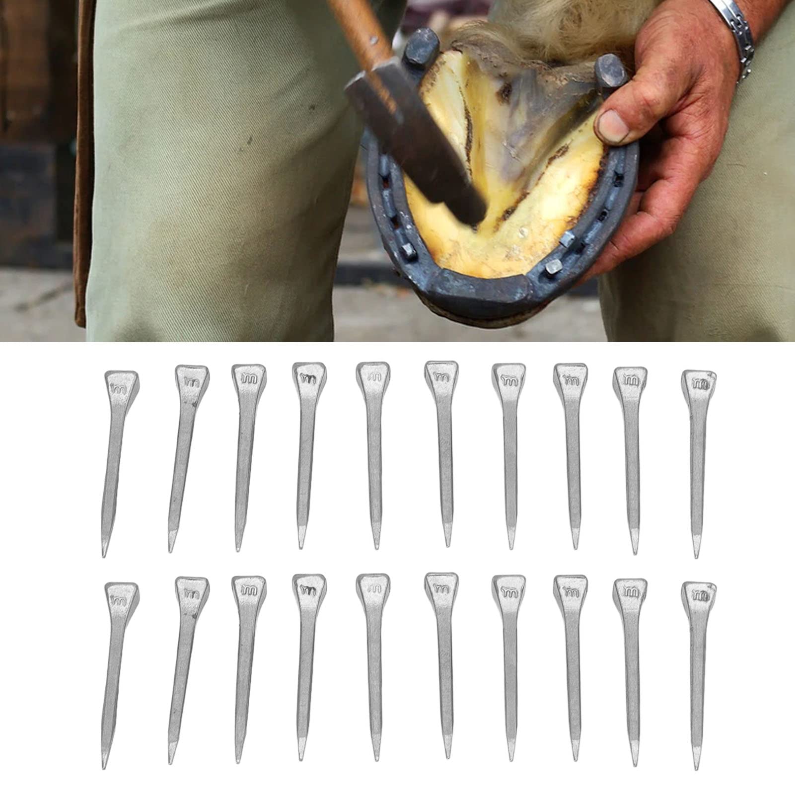 Chiodi Per Ferro Di Cavallo Da 250 Pezzi Chiodi ... - Leroy Merlin - Foto 4