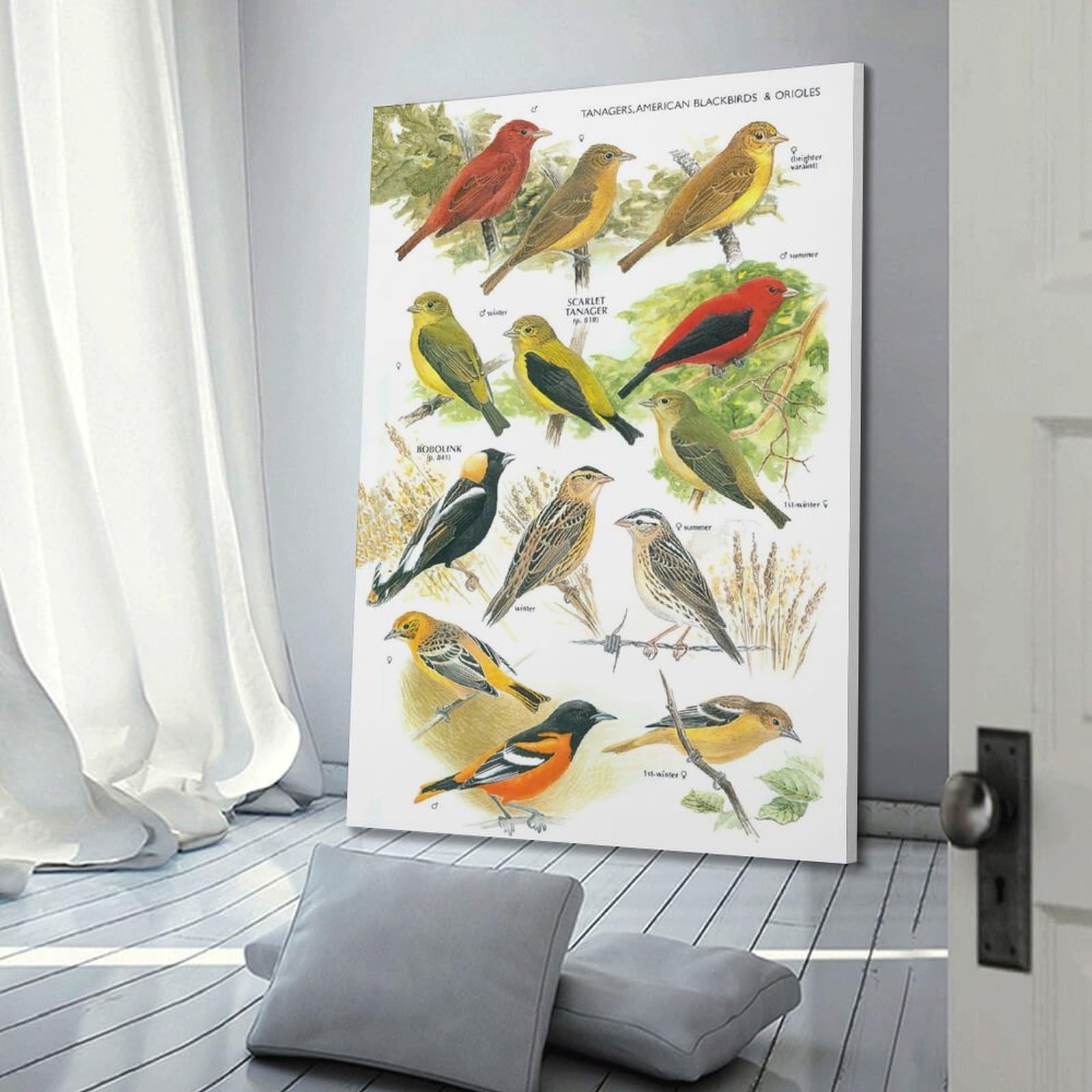 OKNGB Kinder-Zoologie-Pädagogisches Poster, Vogelführer-Poster, dekorative Malerei, Leinwand, Wandposter und Kunstdruck, moderne Familienschlafzimmer-Dekoration, Poster, 50 x 75 cm