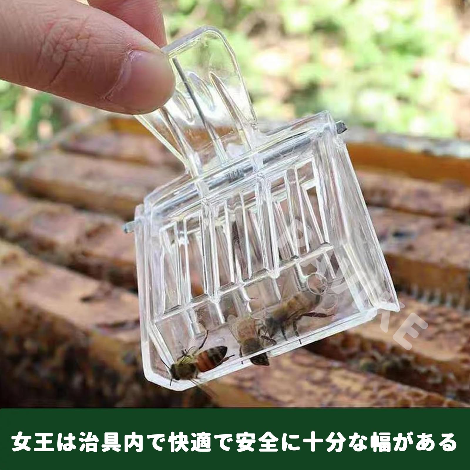 uxcell クイーンビーケージ プラスチック 蜂保護ケージ グリーン 12個 Amazon.co.jp: PAVIKE 女王蜂キャッチャー女王蜂ケージ 女王蜂 飼育