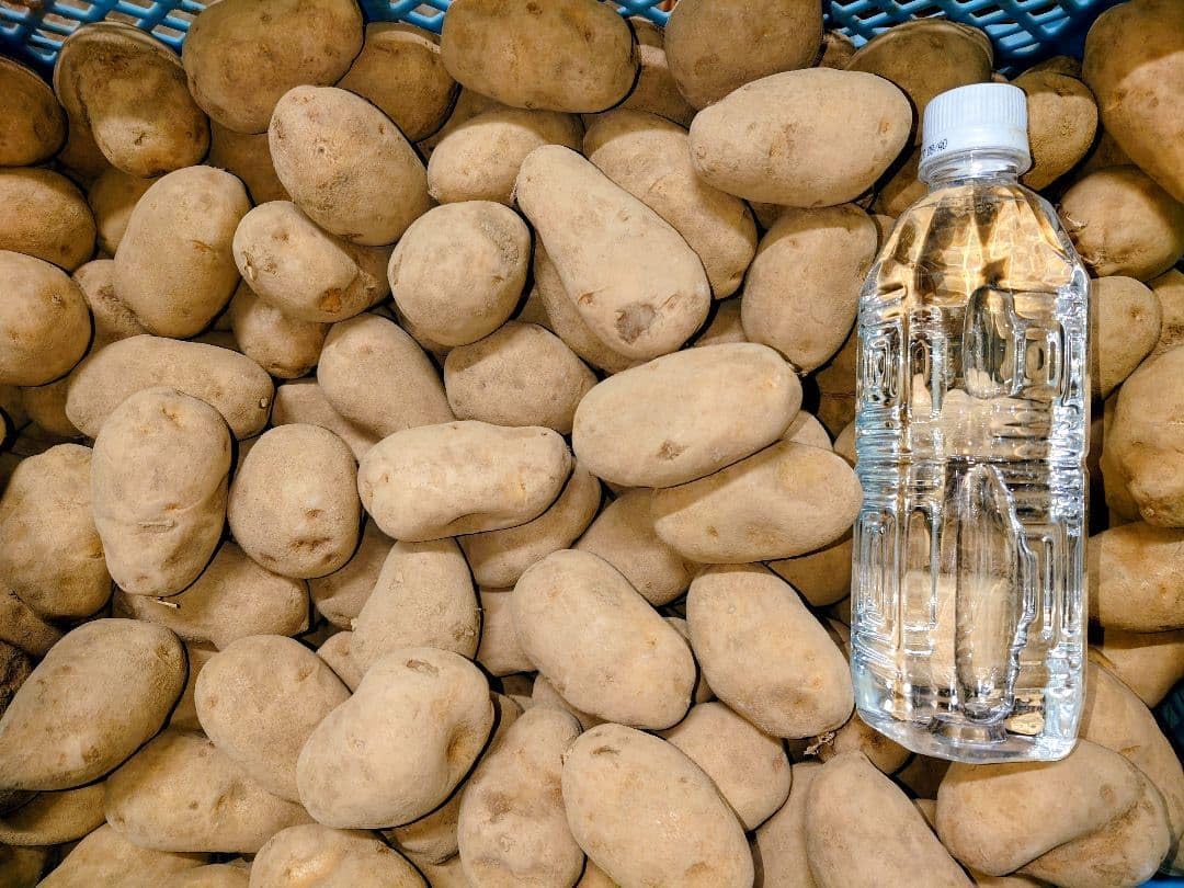 美味しい??メークインSサイズ10kg??