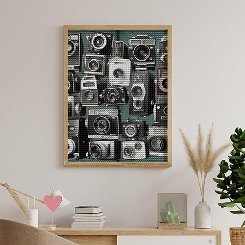 Miniatura 5 de DWVSFJM Retro Cool Camera Collection - Kits de pintura de diamantes de 12 x 16 pulgadas, kits de pintura de diamantes para principiantes, pinturas