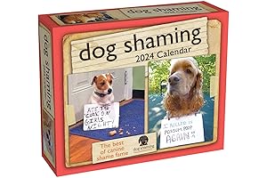 Dog Shaming 2024 Day-to-Day Calendar: The Funniest Daily Calendar of 2024