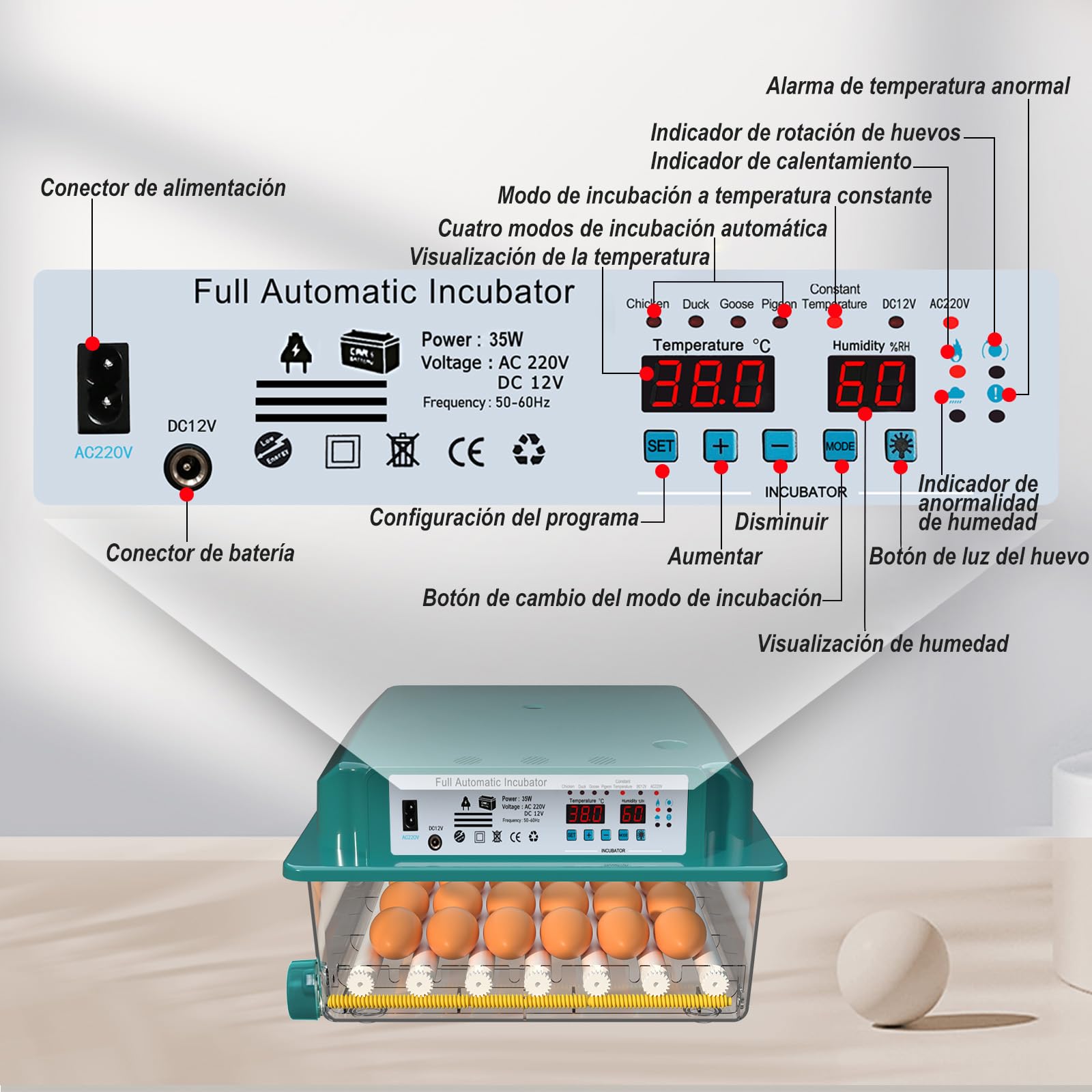 CoInceptus Incubadora Huevos Gallina, Incubadora de 24-36 Huevos con Volteo Automático de Huevos y Humidificación automática, Incubadora para Huevos de Gallina, Codorniz, Pato, con Lámpara de Huevo