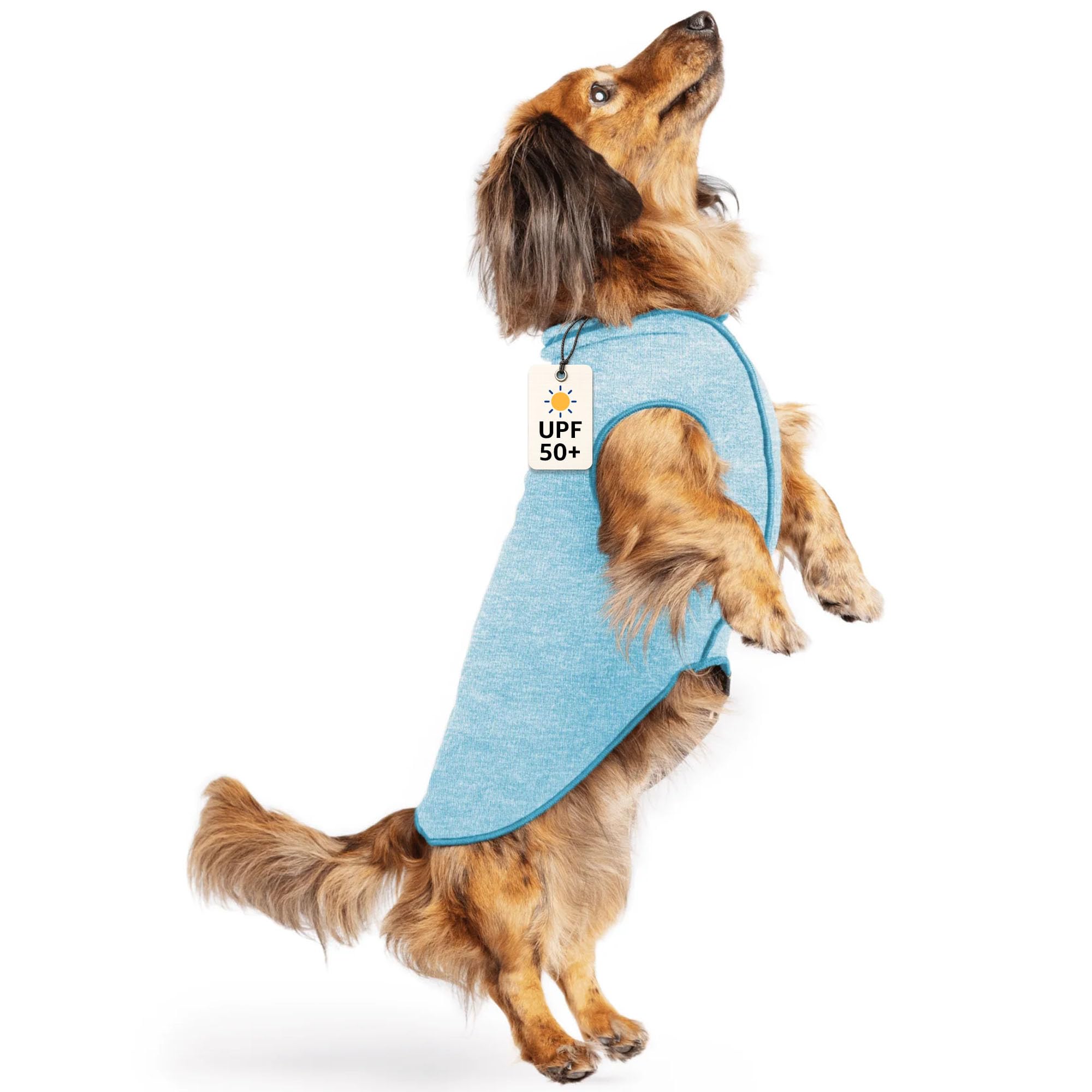 新品Gold Paw Sunshield Size12 小型犬用 紫外線カット Amazon.com : Goldpaw Dog Sun Shirt with UV Protection