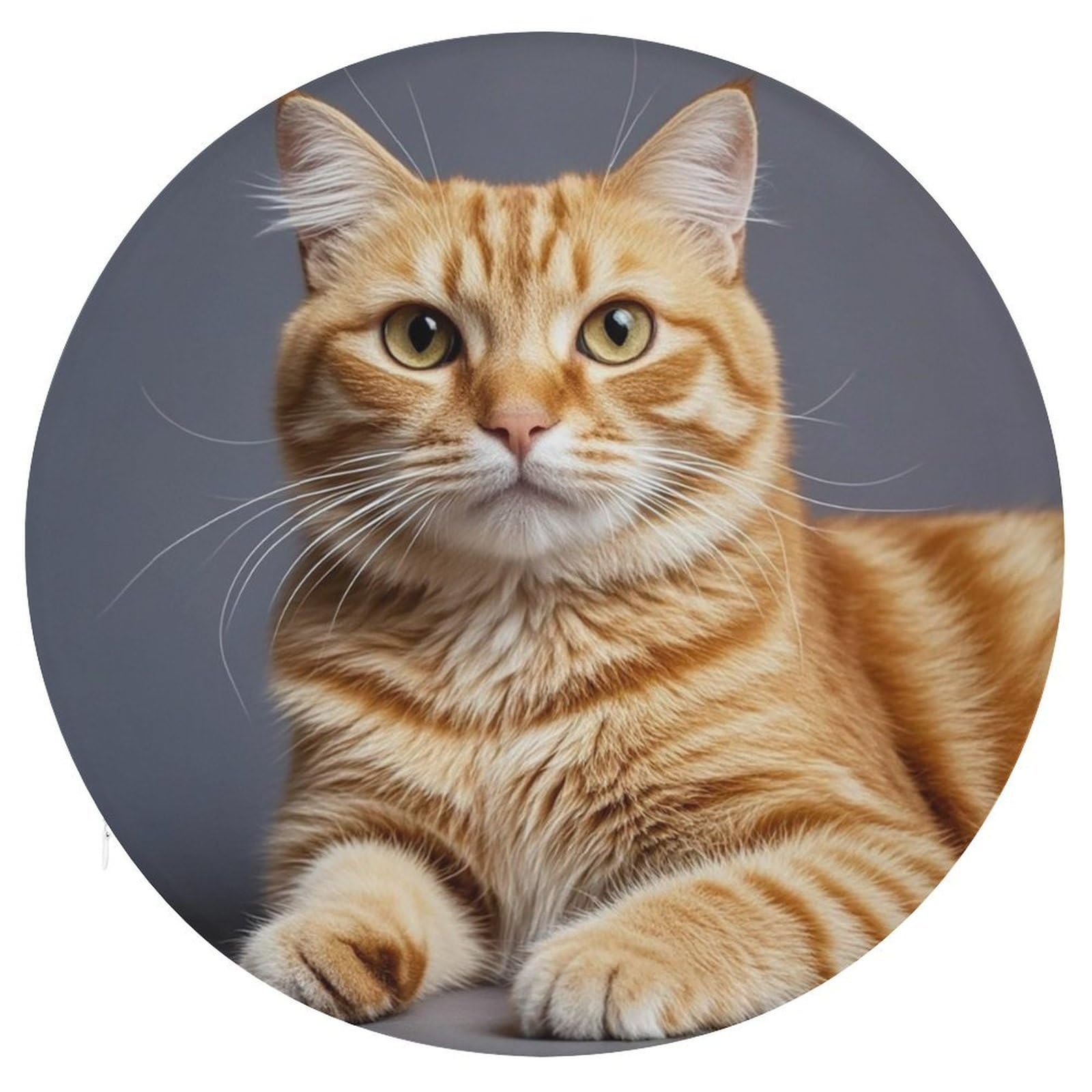 FekiLoot - Round Memory Foam Cat Chair Cushion Soft Circle Cushion with Removable Cover, Fashion Decorative Cushion for Bedroom Sofa Kitchen Office 15.3 x 15.3 Inch