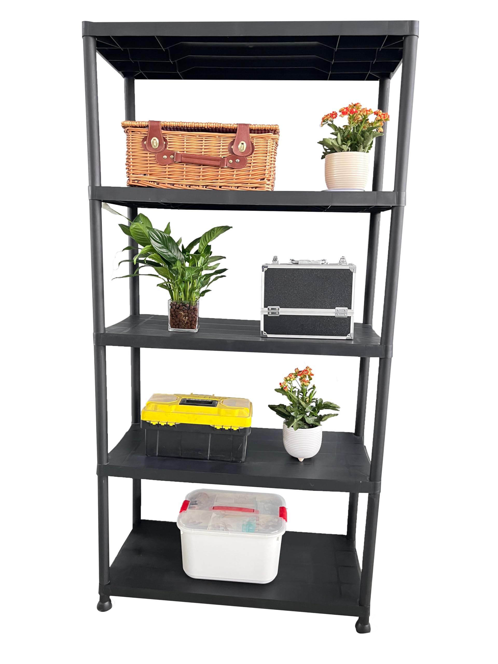 AVANTI TRENDSTORE - Alga - Scaffale in polipropilene,con 5 ripiani Dimensioni LAP 61x31x171cm
