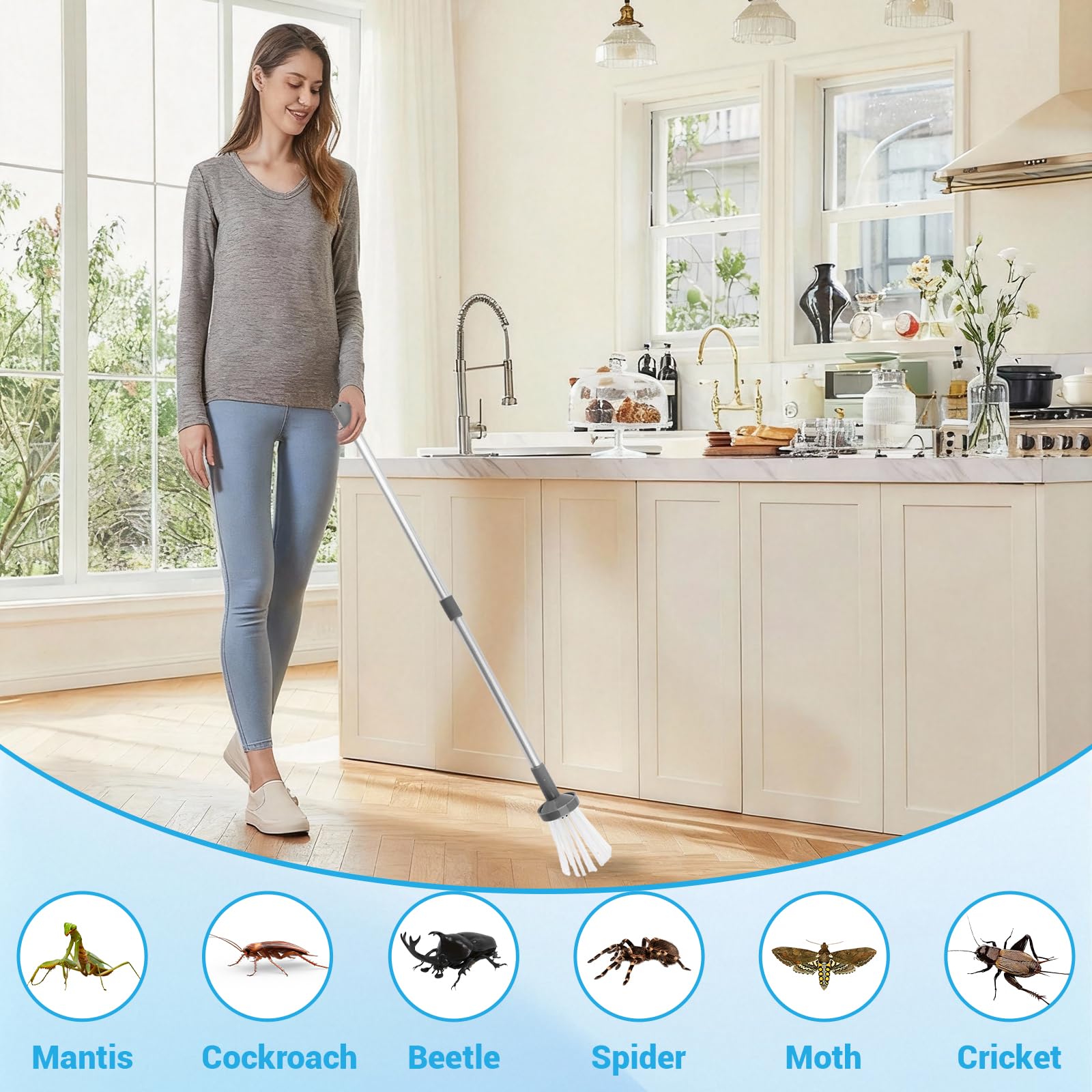 dellyy Cattura Insetti, Acchiappa Insetti 81 cm, Telescopica Trappola per Insetti Extra Lungo con Manico, Strumento per Ragni per Catturare e Rimuovere in Modo Sicuro