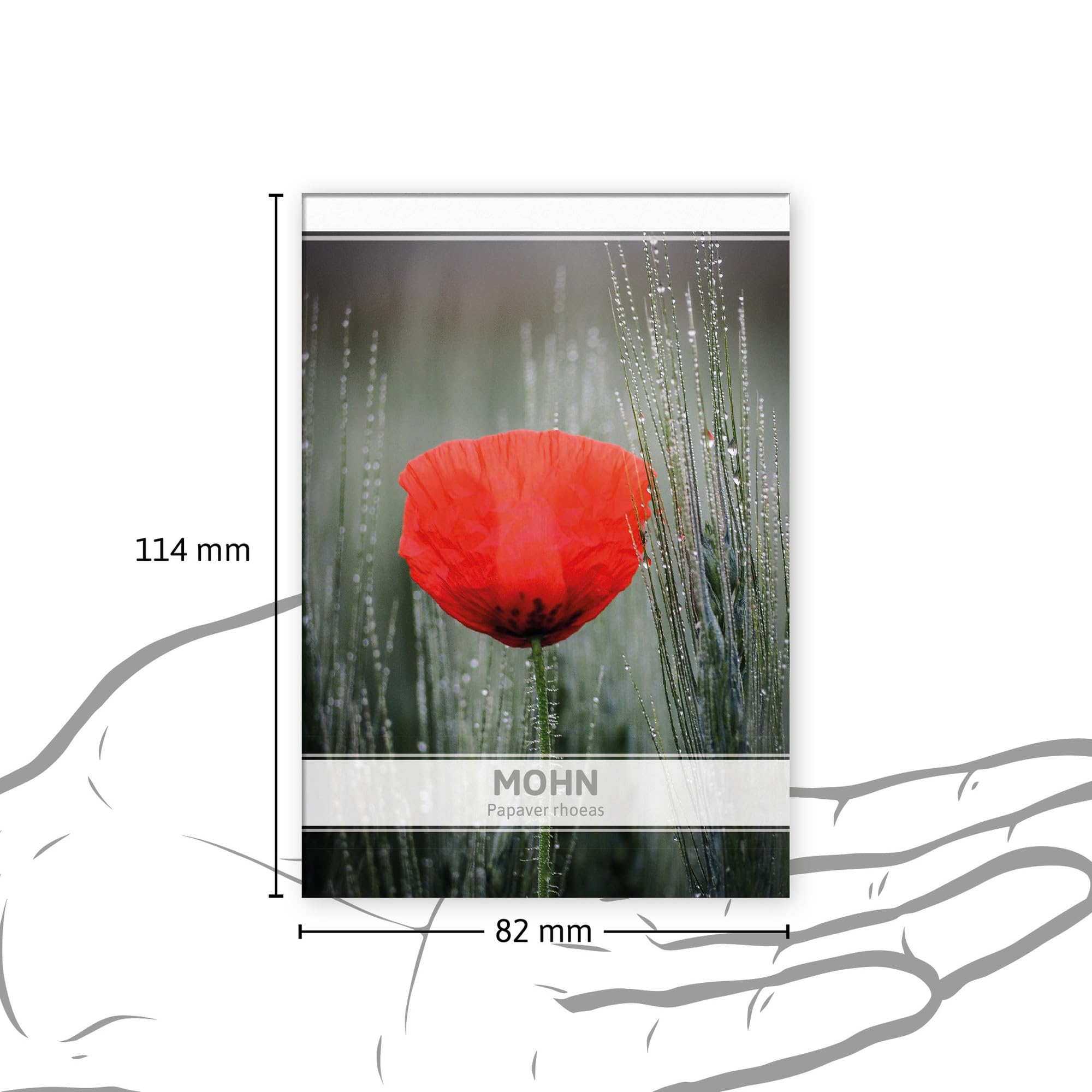 FLORTUS Mohnsamen als Gastgeschenke (100 Stück) | Blumensamen perfekt als Dankeschön Geschenke, Werbegeschenke & Trauerkarten Danksagung
