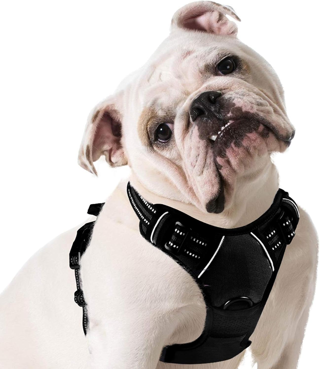 front walking harness for dogs