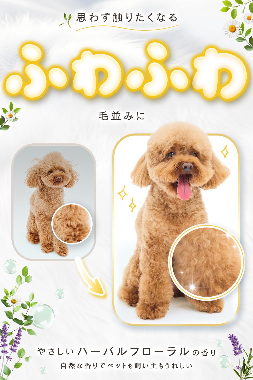 新品ロアペットLoa-Pet オーガニック犬猫用シャンプー10本セット400ml Amazon | 【国産×オーガニック】ロアペット ペット用シャンプー 低刺激