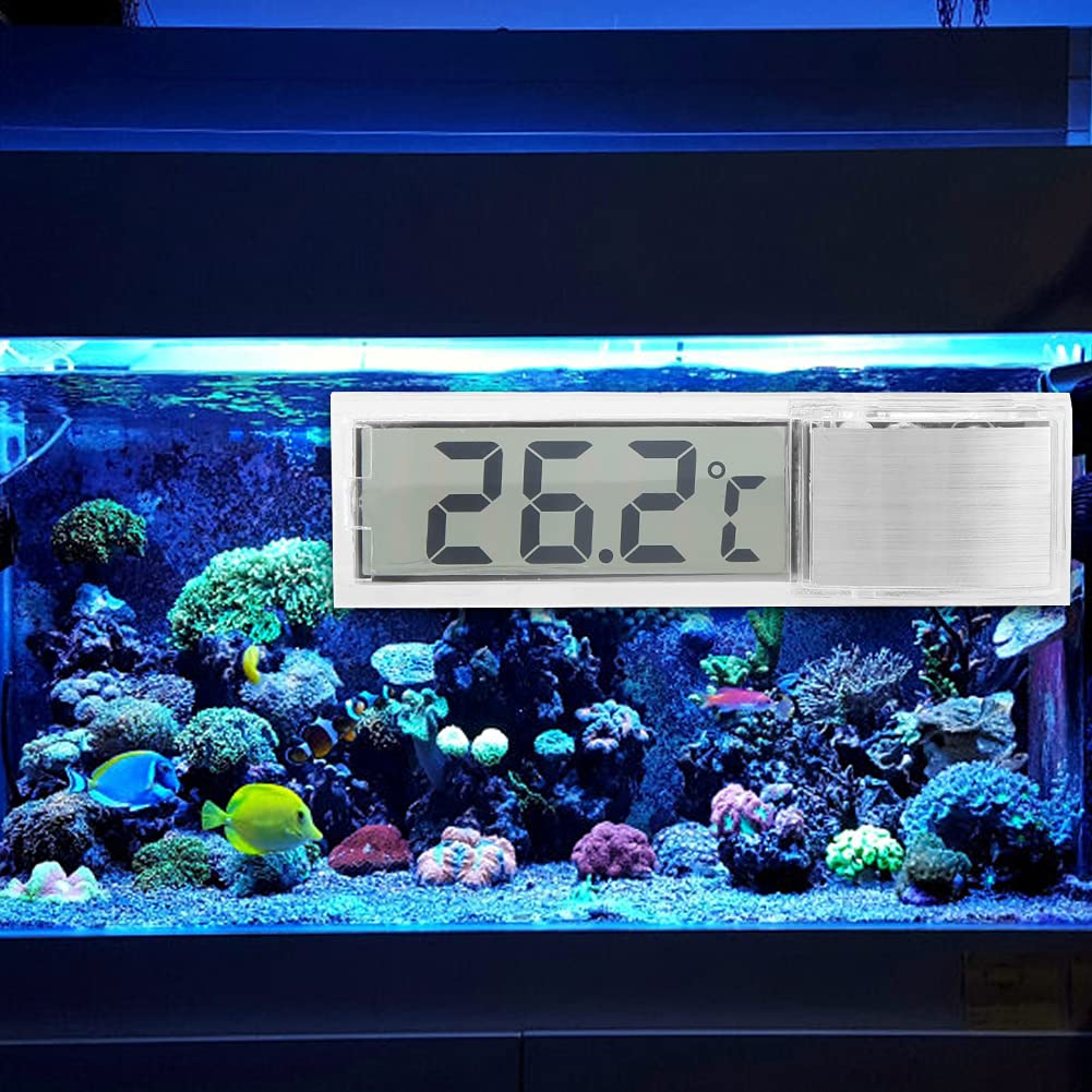Termómetro Digital Adhesivo Lcd Para Pecera Acuario Terrario | Cuotas