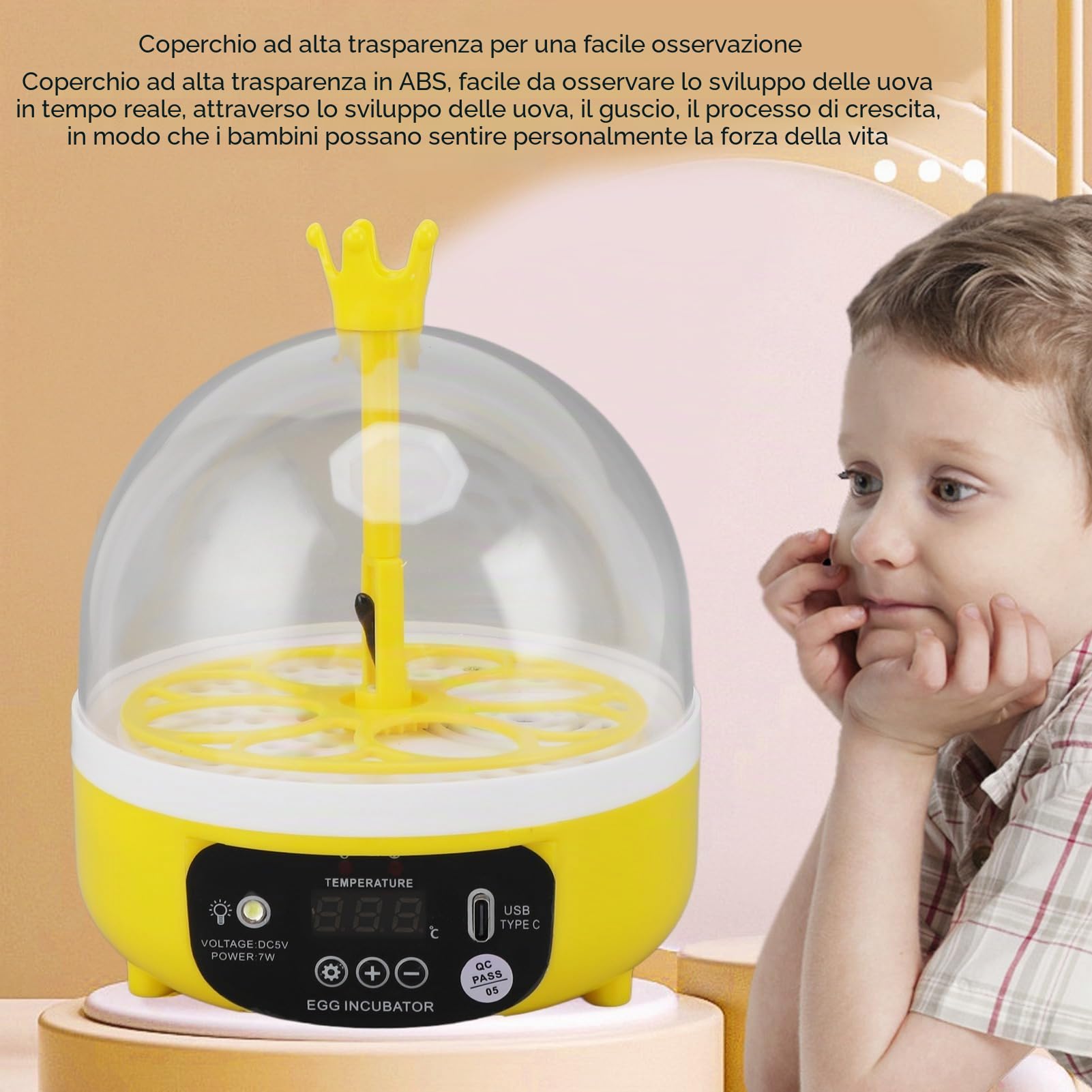 Mini Incubatrice per Uova: Controllo Automatico Umidità Temperatura mini incubatrice per uova 4 Uova, Silenziosa, Portatile, LED, 7W egg incubator Incubators