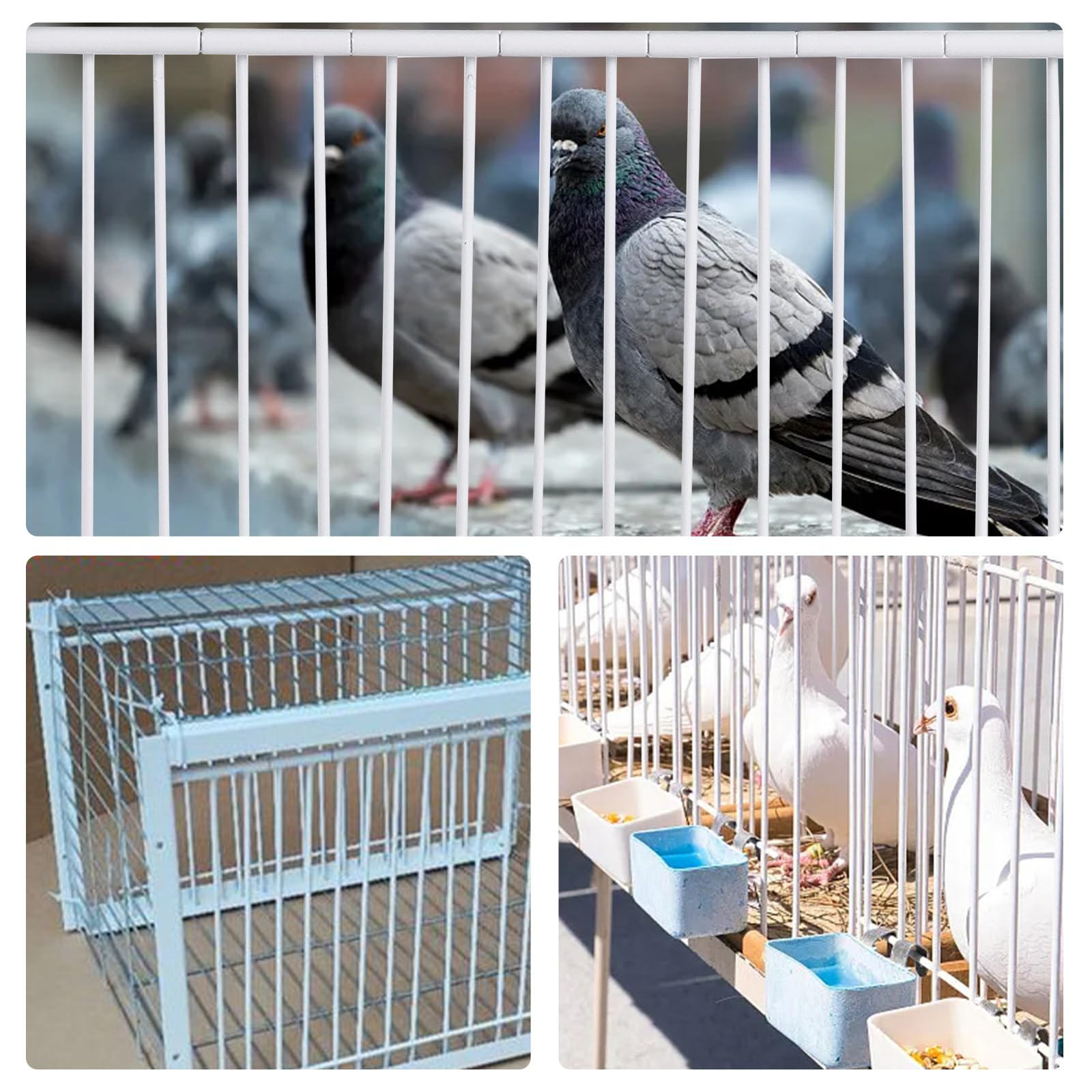 T-Trap - Porta d'ingresso per animali domestici, usa e getta, per piccione da corsa, piccione, porta d'ingresso in ferro, pappagallo, accessorio per l'allevamento di uccelli, 33 x 26 cm