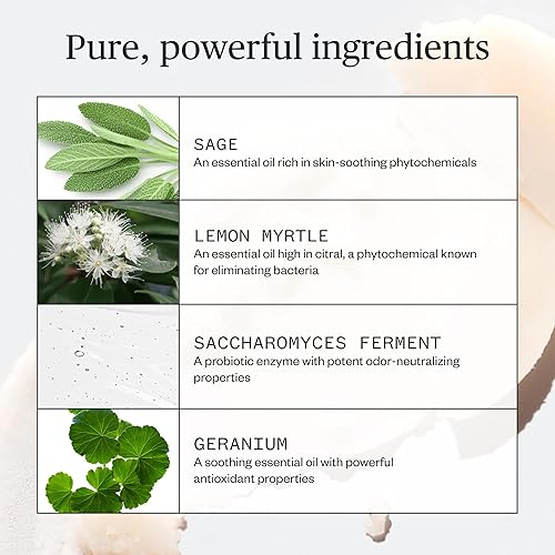 Miniatura 2 de Ursa Major Sublime Sage Natural Spray Desodorante  Sin aluminio, vegano, libre de crueldad, sin manchas, 1.79 onzas