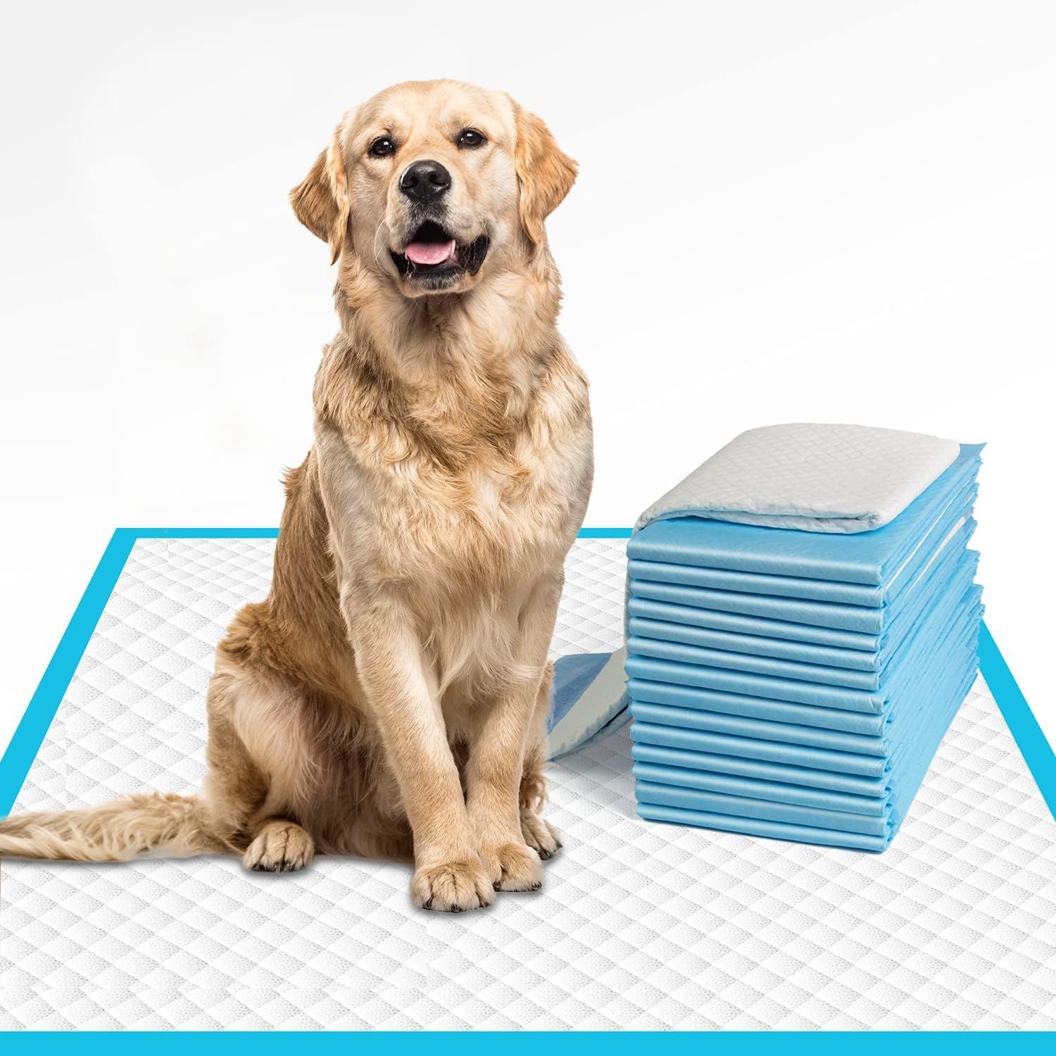 Comfy Fit20 Pcs Disposable Pet Training Pads Large 60x90 cms Puppy Pee and Quick Drying Surface & Absorbent Core, Suitable for Small, Medium, Large Breed Pets, Dogs, Cats - 10 Pcs/Pack (Pack 02)