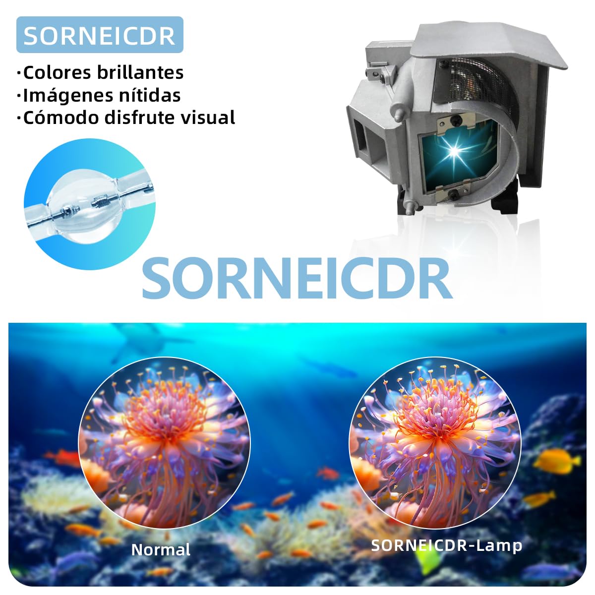 1020991 Lampada proiettore di ricambio con alloggiamento per Smartboard UF70 60WI2 UF70W SLR60wi2 SLR-XCP Unifi 70 70w Videoproiettore