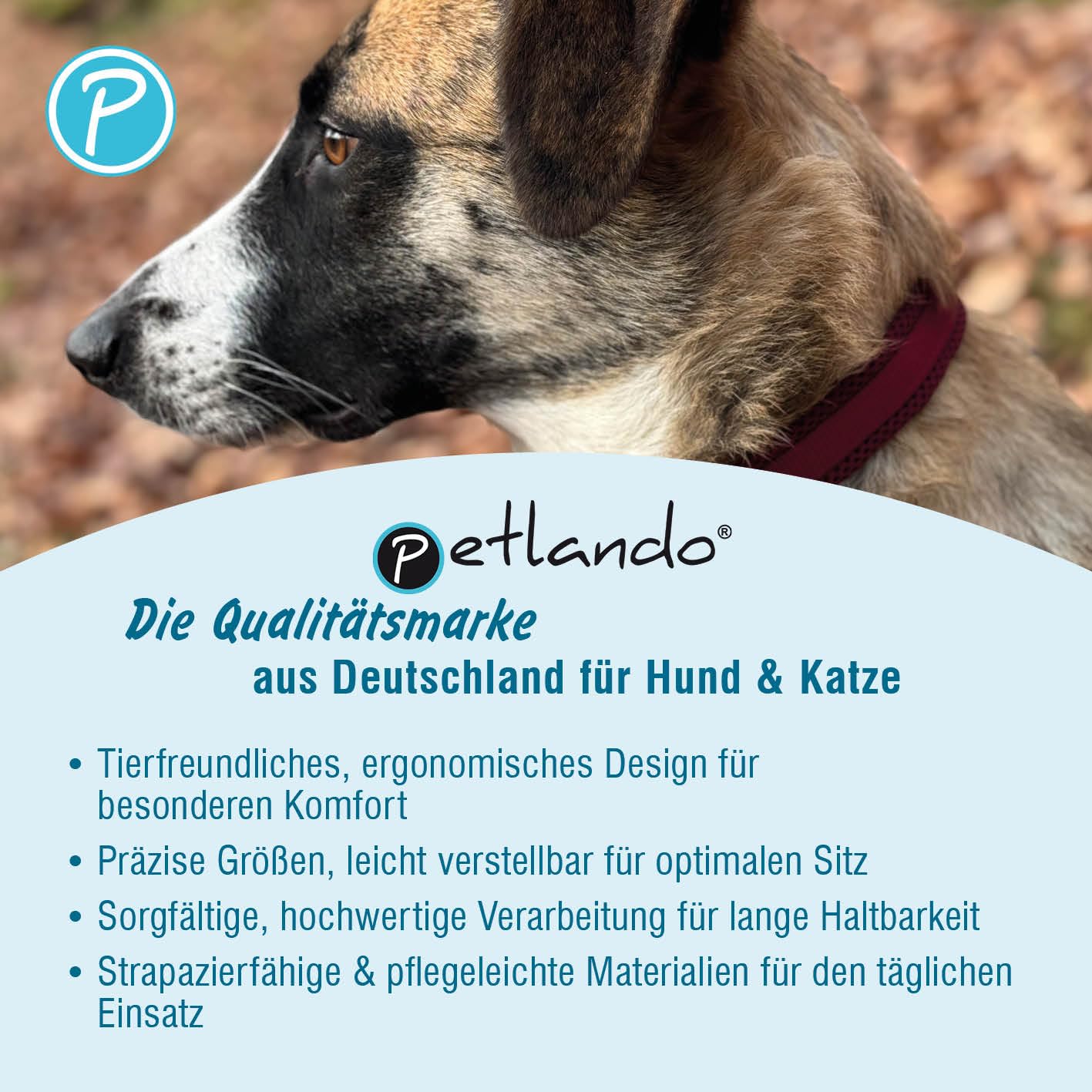 Petlando Mesh Hundehalsband – leicht, atmungsaktiv, weich mit Mesh gepolstert, stufenlos verstellbar, robust & strapazierfähig mit O-Ring – Halsband Hund M 45-50cm, Mokka