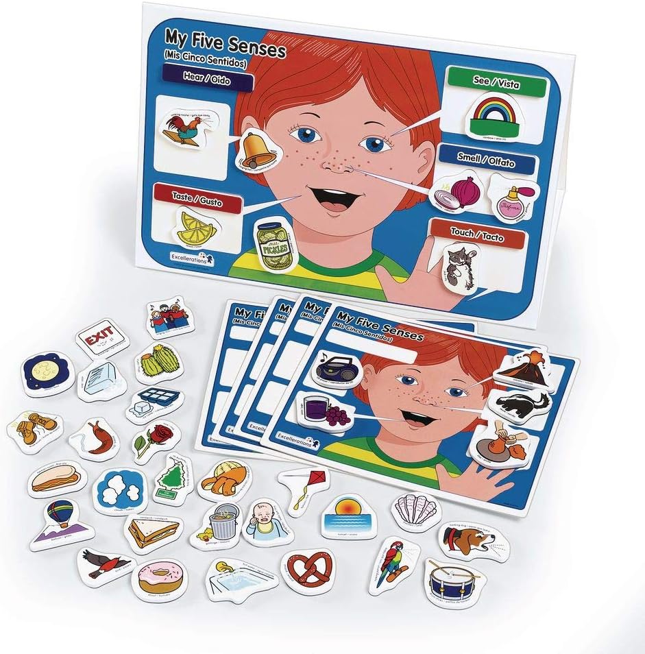 Excellerations My 5 Senses Magnetic Activity Set, 12 x 18 inches, Pack of 55, Educational STEM Toy, Preschool, Kids Toys