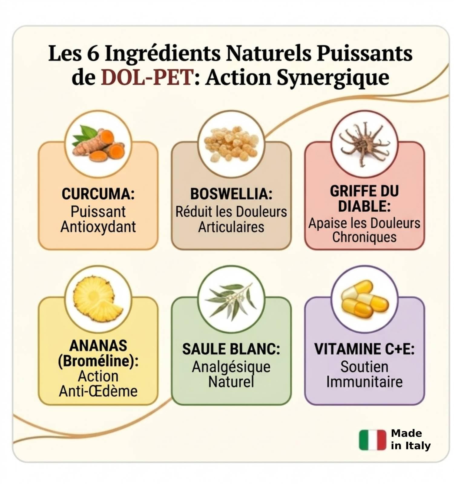 Dol-Pet Complément Articulaire Naturel pour Chien – Curcuma, Boswellia, Griffe du Diable – 30 Comprimés à Mâcher – Soulagement Arthrose et Douleurs