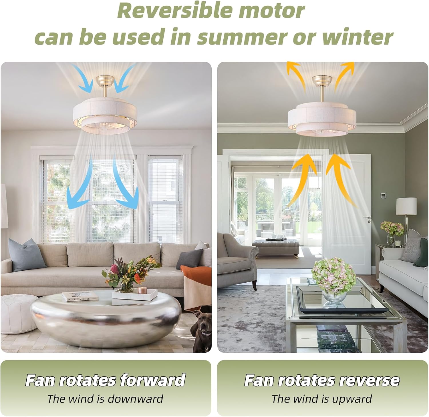 20" Fandelier Ceiling Fans with Lights, Caged Boho Ceiling Fan with Light Remote Control, Mid Century Modern with 6 Speeds for Bedroom, Nursery, Living Room