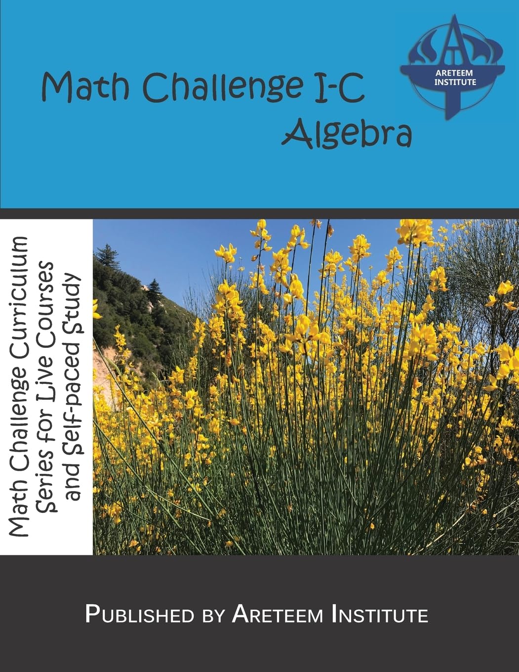 Math Challenge I-C Algebra (Math Challenge Curriculum Textbooks)
