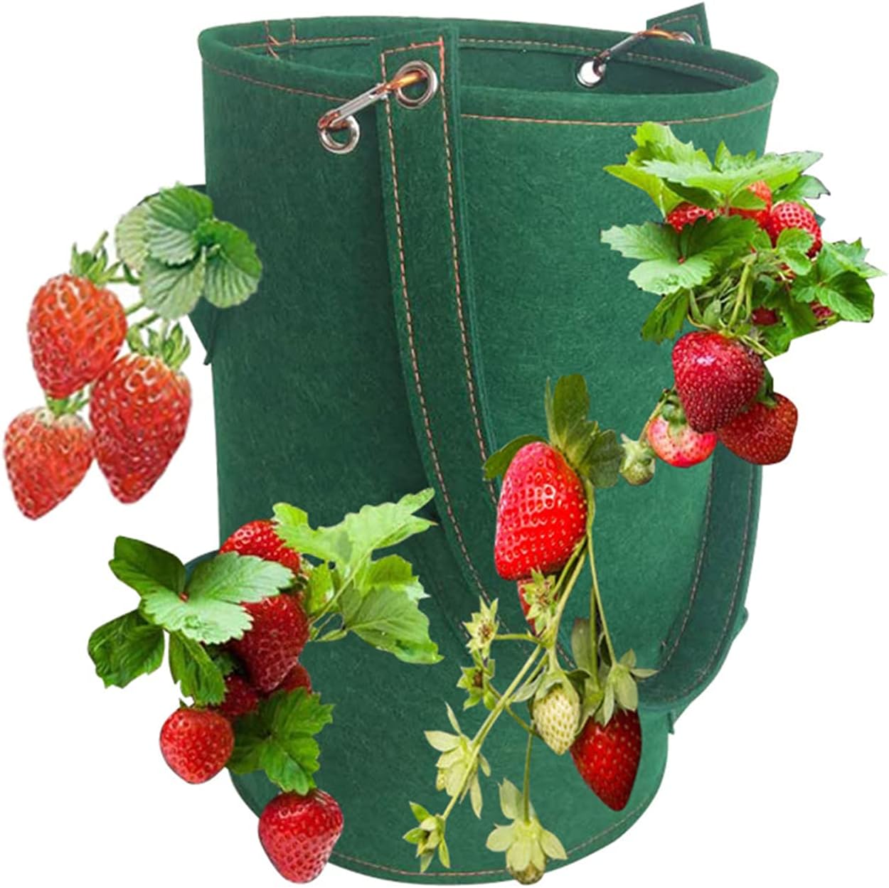 Pepisky 15 x 9 Inch Strawberry Grow Bags with 8 Grow Holes Planter Box Vegetable Grow Bag Breathable Vegetable Flower Growing Bag with Handles