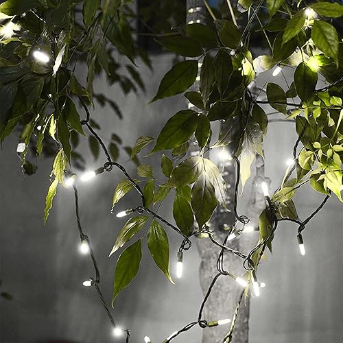 Miniatura 7 de Guirnalda de 100 luces LED de color blanco frío, cable verde de 35 pies, certificado UL, conectable, mini luces de Navidad para exteriores o