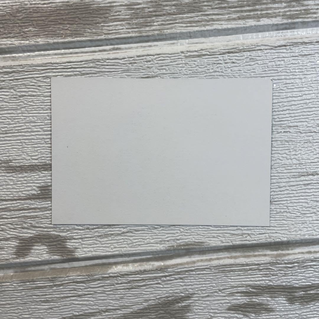 Amazon.co.jp: BTS Spring day春の日 事前収録サノクジョングクトレカ  