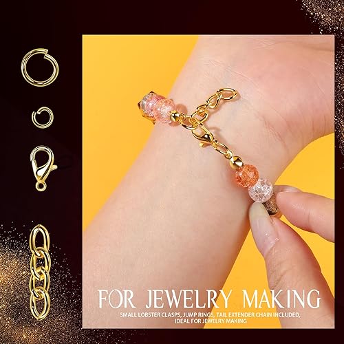 Miniatura 6 de LEOBRO 265 piezas de clip de llavero con llavero, kit de fabricación de llavero, cierres de pinza de langosta, llavero de gancho, llavero a granel,