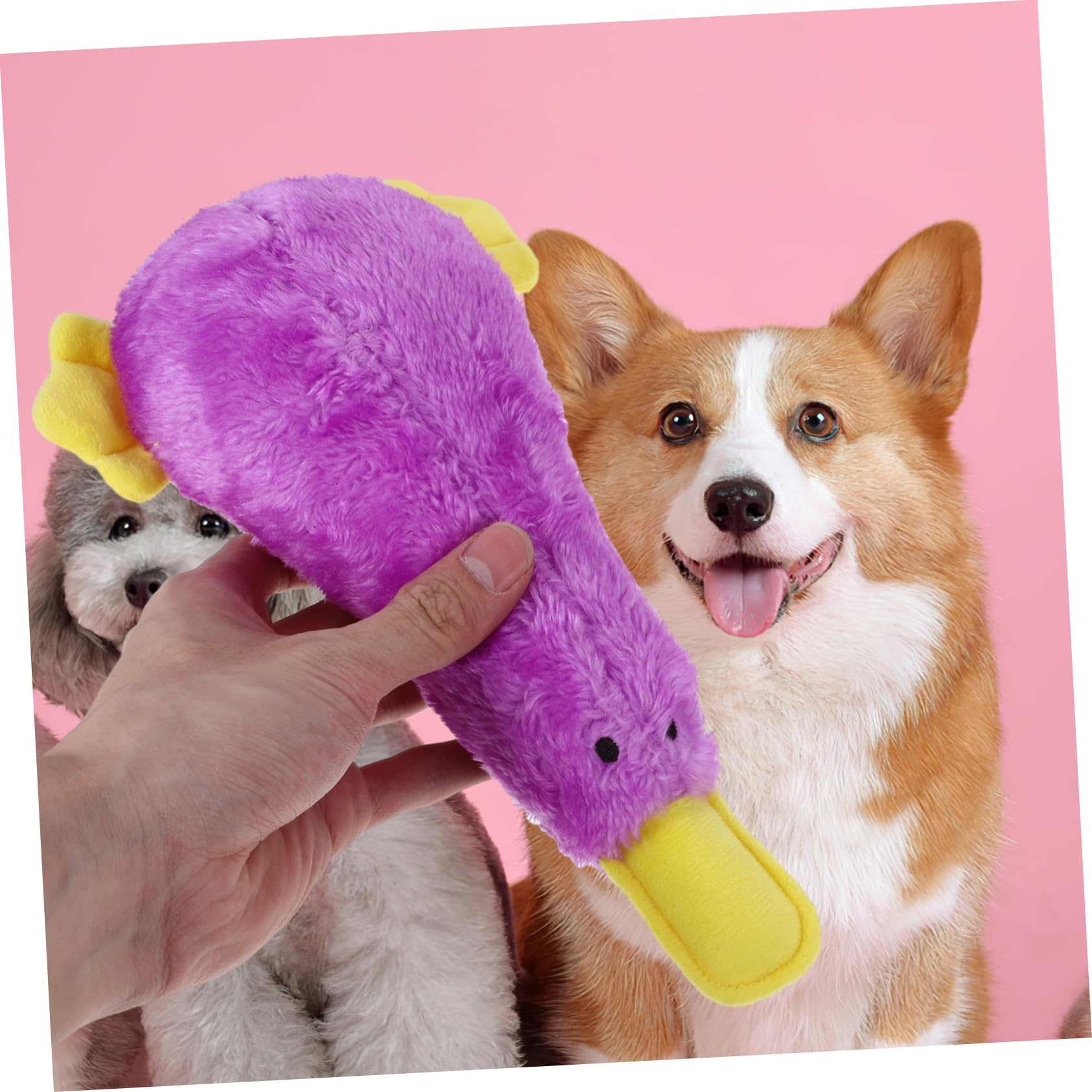 TOYANDONA Jouet Peluche Chien Couine pour Chiot Jouet à Mâcher Oiseau pour Animal de Compagnie Motif Dessin Animé