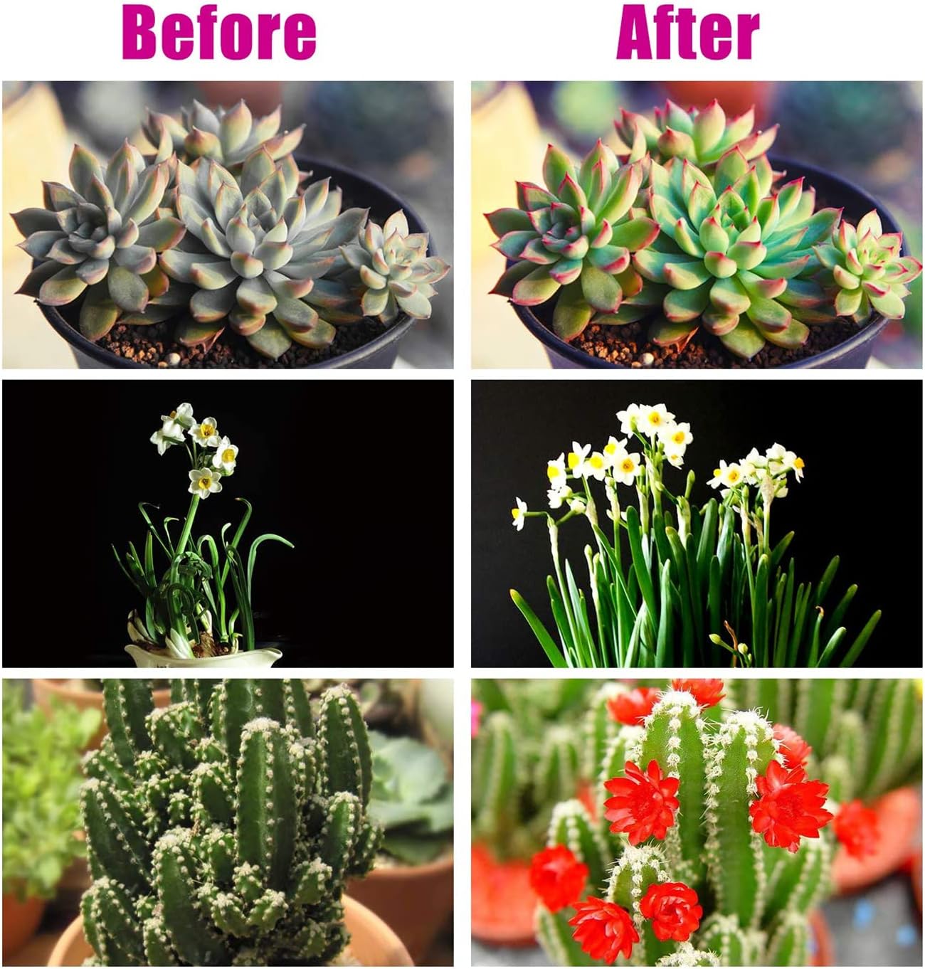 ライトを育てる、6000Kフルスペクトルクリップ植物成長ランプ、屋内植物用の白赤LED、9レベル調光可能、自動オンオフタイミング 【比例】