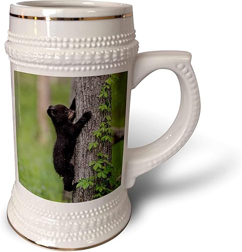 3dRose Danita DelimontBlack BearTennessee. Árbol Black Bear Cub Escalada.22oz Stein Taza, Blanco