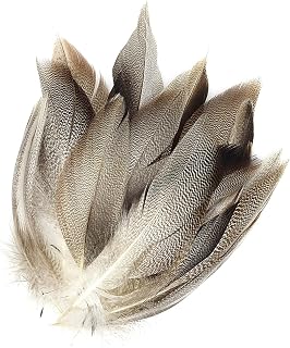 50pcs Mallard Duck Wing 4-12cm para Artesanía Ropa Halloween Decoración Boda Embellido Suministros para Atar Suministros