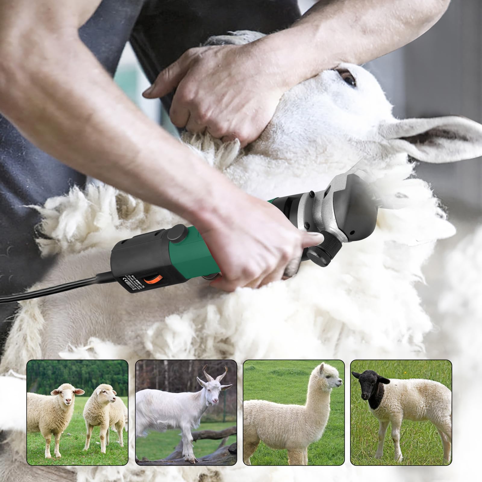 Tosatrice per Pecore Elettrica 690W, Forbici Elettriche Pecore con 6 Velocità Regolabili, Cesoia elettrica per Pecore Montoni Capre Animali da Fattoria (Verde)