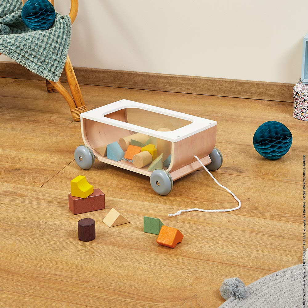 Janod - Carrito de Cubos de Madera - Colección Sweet Cocoon - Juguete de Estímulo para Bebés Pintado al Agua - Juguete de Arrastre - Aprender a Andar - A Partir de 18 Meses, J04407