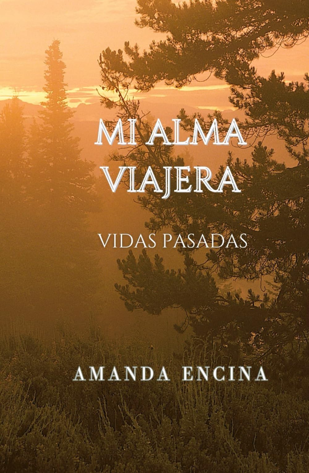 Mi Alma Viajera: Vidas Pasadas