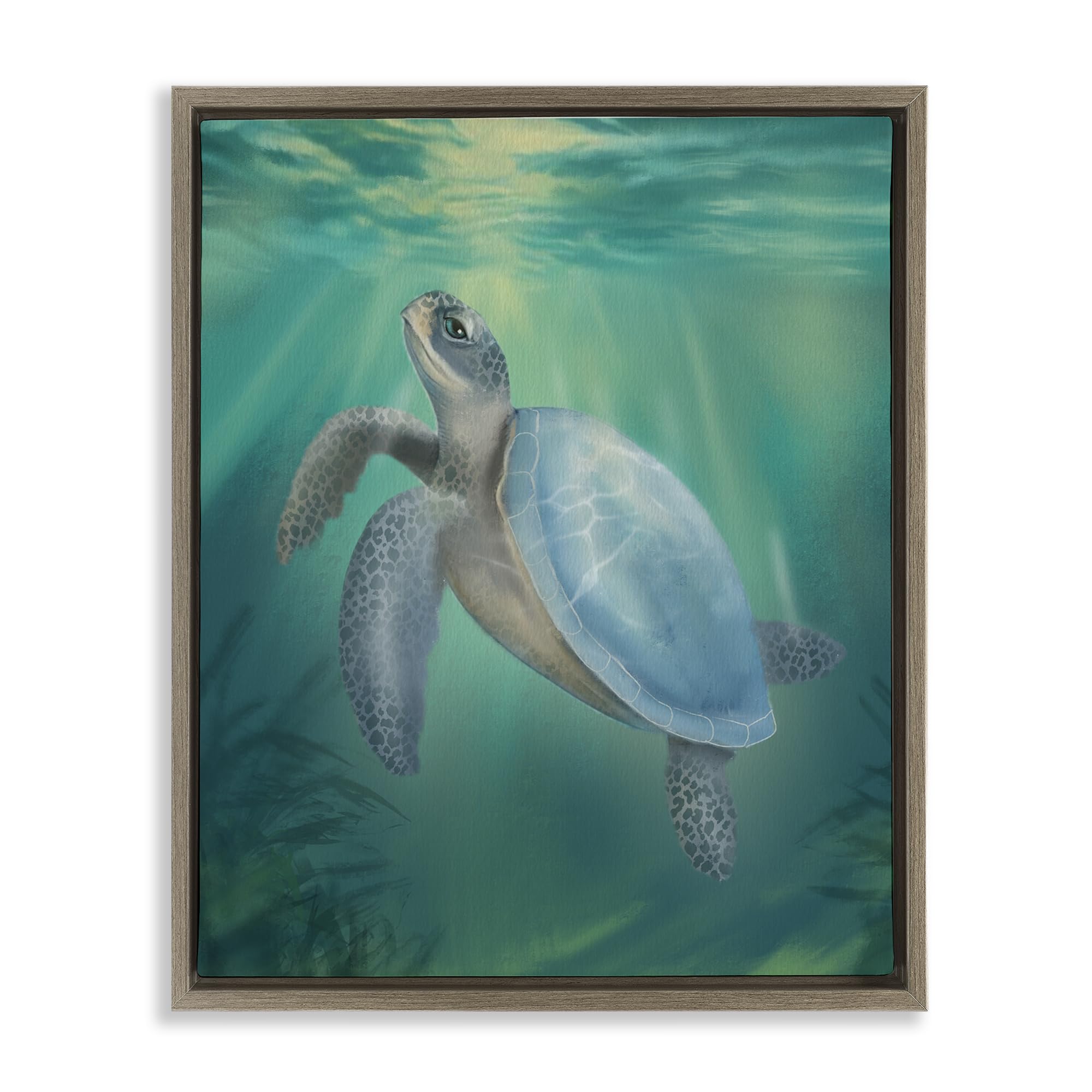 Stupell Industries Montalcino Elm (Textured) 'Coastal Beach Sea Turtle'| Floating Frame Canvas Art